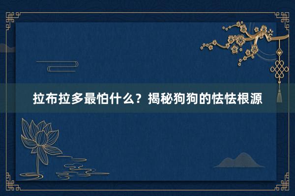 拉布拉多最怕什么？揭秘狗狗的怯怯根源
