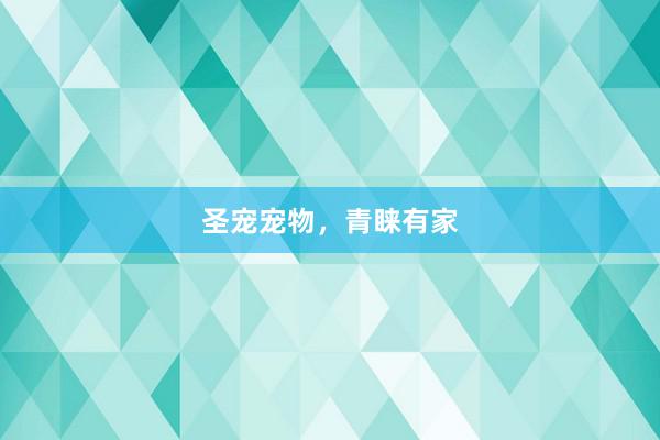 圣宠宠物，青睐有家