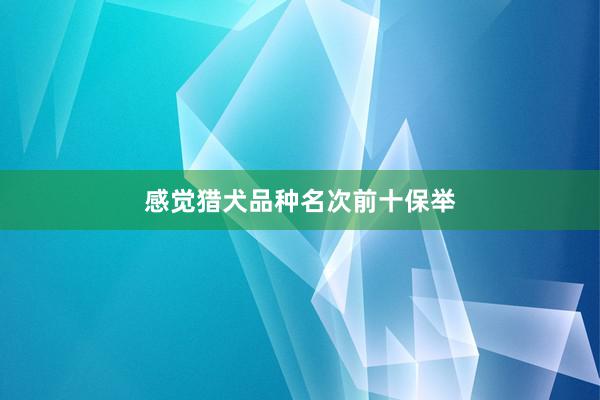 感觉猎犬品种名次前十保举